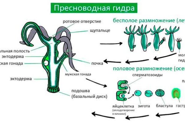 Кракен маркет