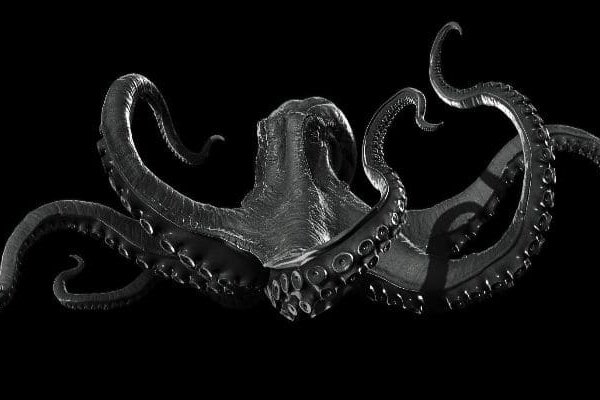 Kraken 5at